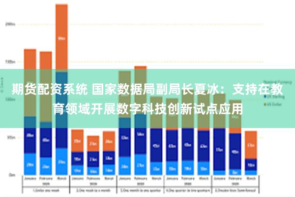 期货配资系统 国家数据局副局长夏冰：支持在教育领域开展数字科技创新试点应用