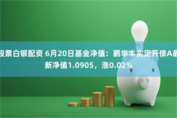 股票白银配资 6月20日基金净值：鹏华丰实定开债A最新净值1.0905，涨0.02%