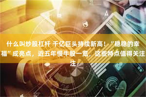 什么叫炒股杠杆 千亿巨头持续新高！“稳稳的幸福”成亮点，近五年慢牛股一览，这些特点值得关注