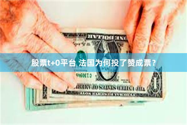 股票t+0平台 法国为何投了赞成票？